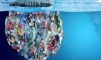 Екологічність у простих речах